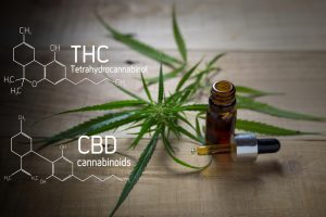 differences between CBD THC