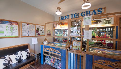 koodegras-inside-store4